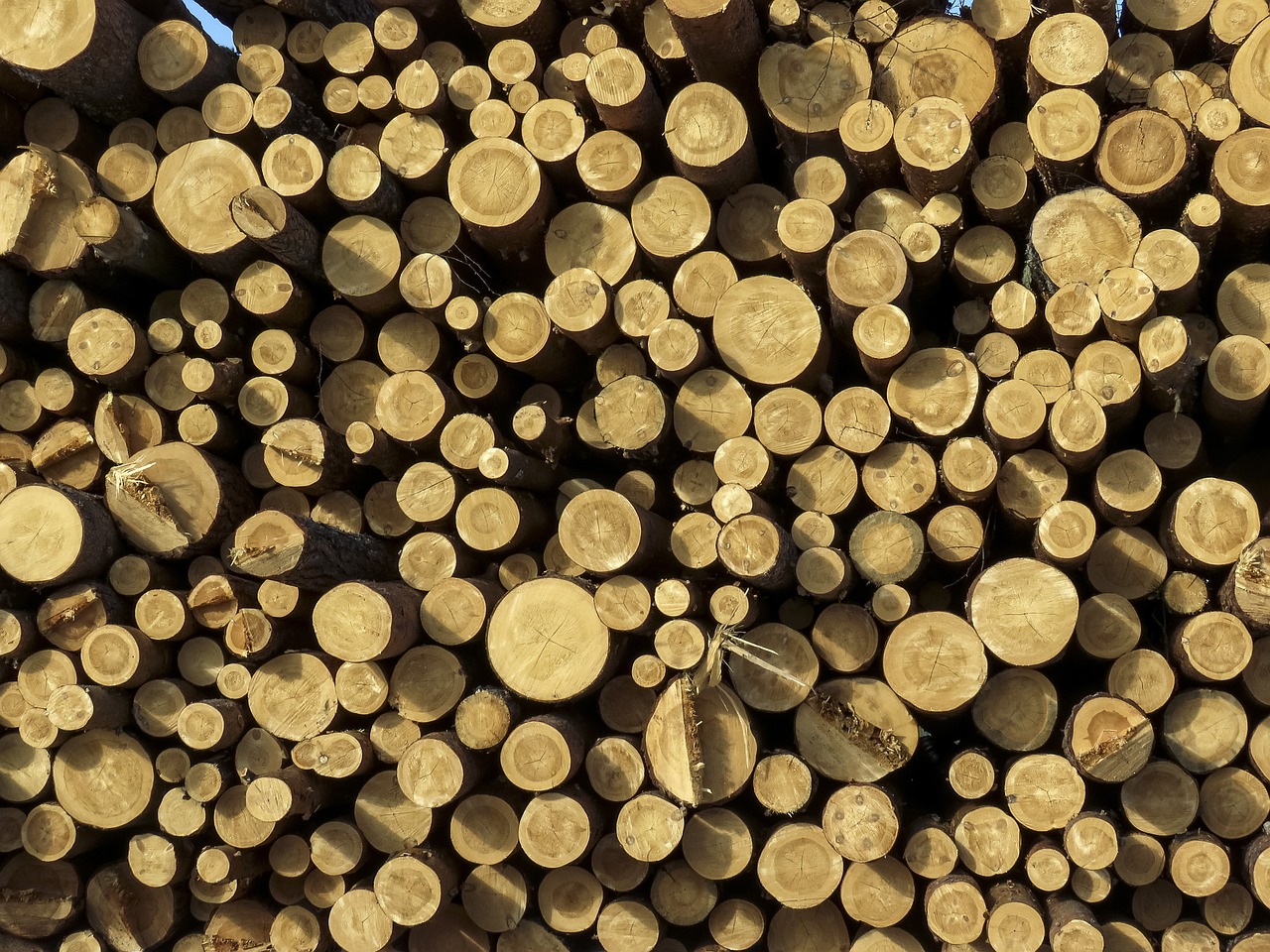 Boost Your Skills with These Advanced Wood Projects